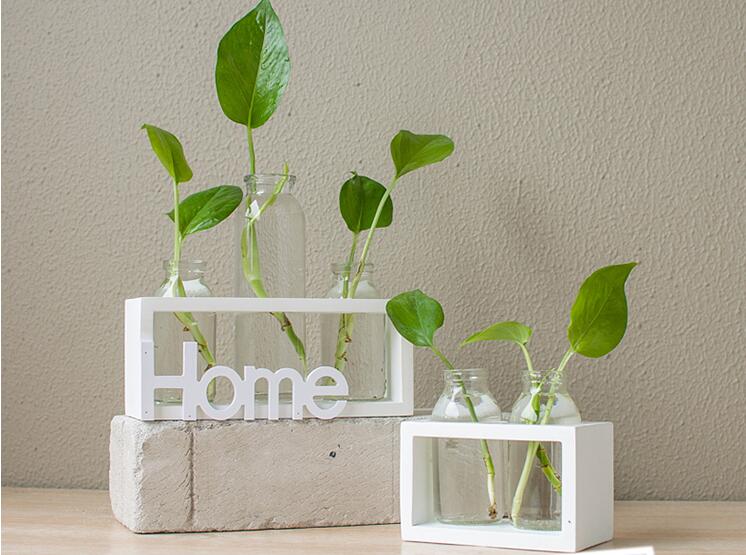 Glass Hydroponic Vase