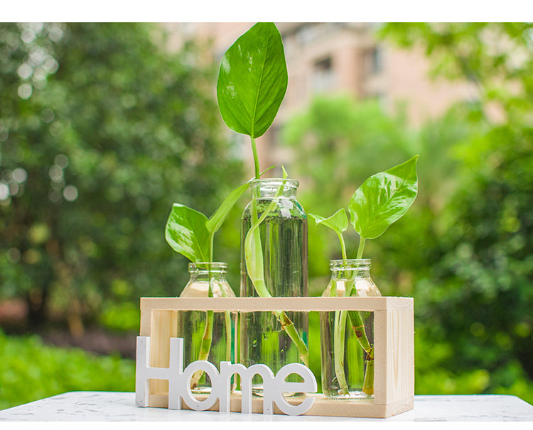 Glass Hydroponic Vase