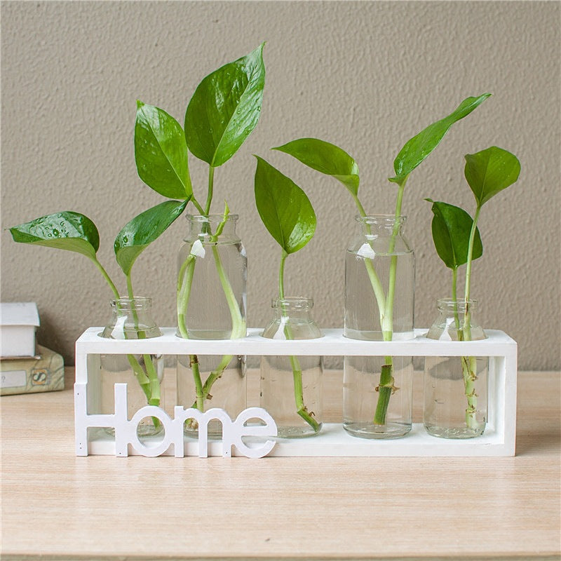 Glass Hydroponic Vase