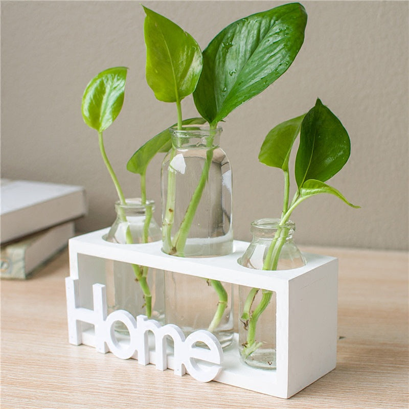 Glass Hydroponic Vase