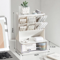 Angled Desk Organizer